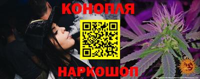 сатива Сланцы