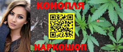 сатива Сланцы