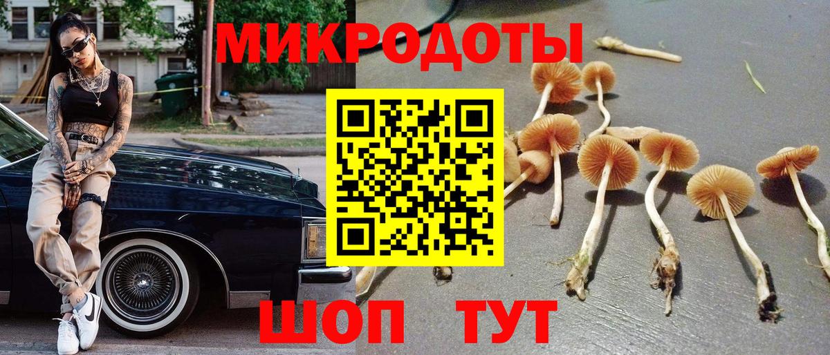 Галлюциногенные грибы Psilocybine cubensis  Вход с VPN  Саров 