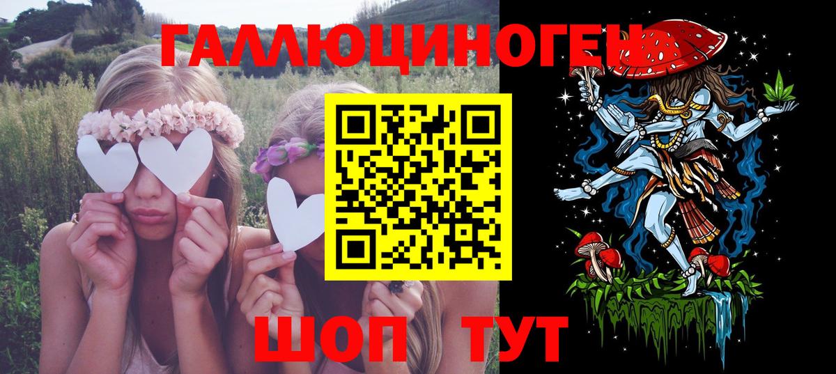 Галлюциногенные грибы Psilocybe Саров